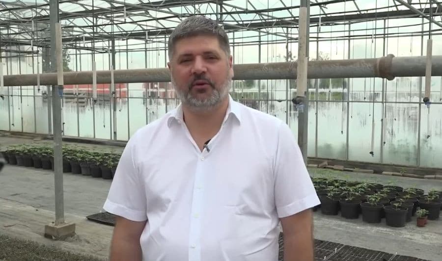 Sudija zabranio odgovore o kontaktima Predraga Koluvije sa novinarkom zbog čijeg teksta je tužio KRIK