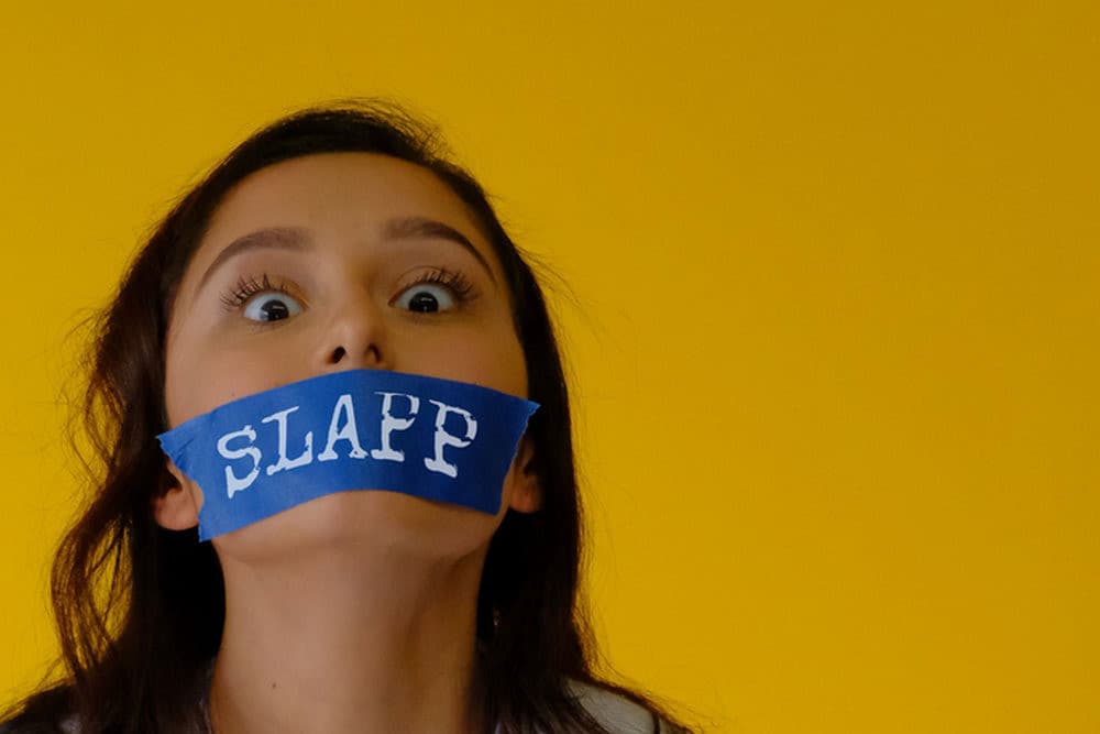 Nacionalna radna grupa za borbu protiv SLAPP-a: Tužba Millennium Team protiv novinarke N1 ima cilj da ućutka novinare